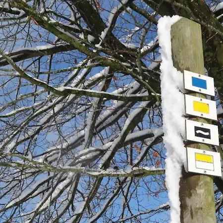 L'oree Du Bois Tenneville