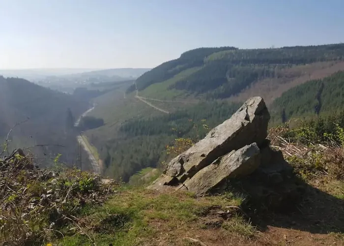 L'orée Du Bois Chalet *