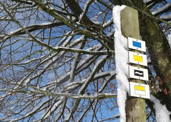 L'oree Du Bois 特纳维耶